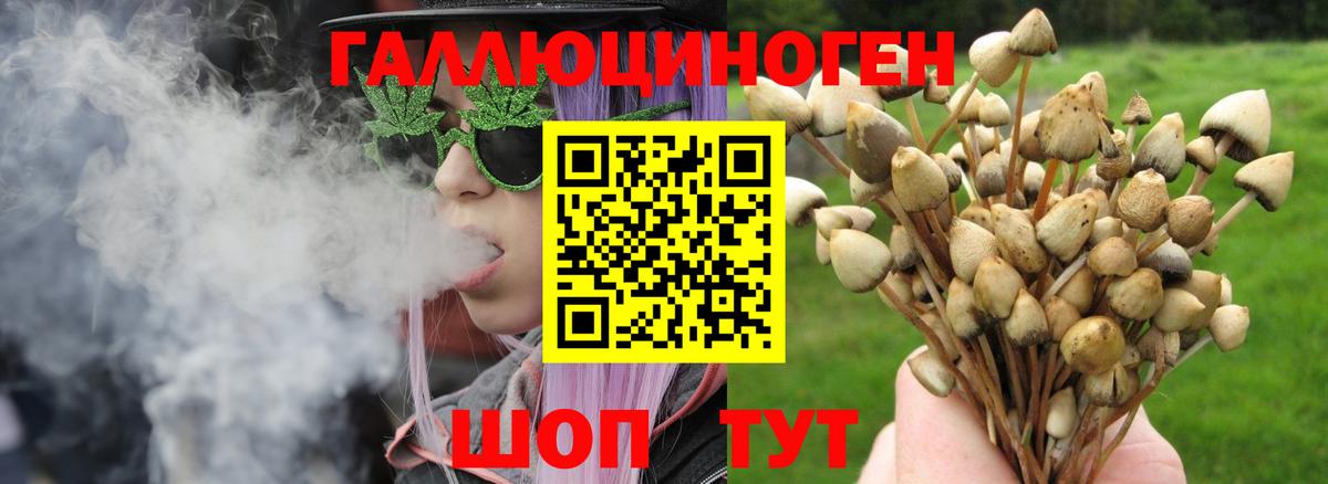 Псилоцибиновые грибы Psilocybe Зеленокумск